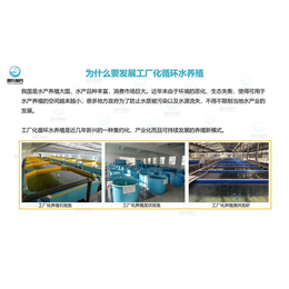 智慧農研 高效環保養魚新標桿，引領現代漁業綠色轉型