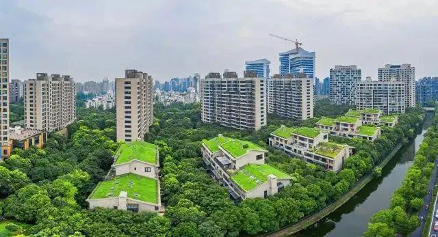 中鷹黑森林 綠色科技豪宅的典范